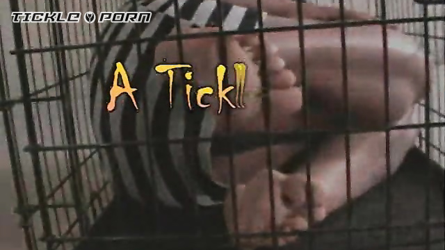 Tickled Sole - Shameless Girl In Striped Dress Gets Wild Underarm Tickles